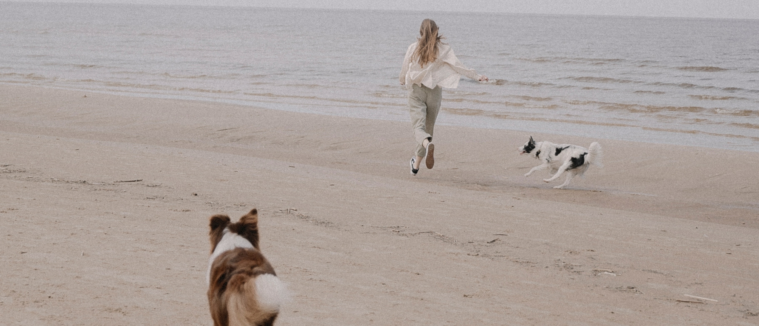 hondennamen-strand-karakter