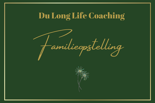 systemisch werk, familie, opstelling