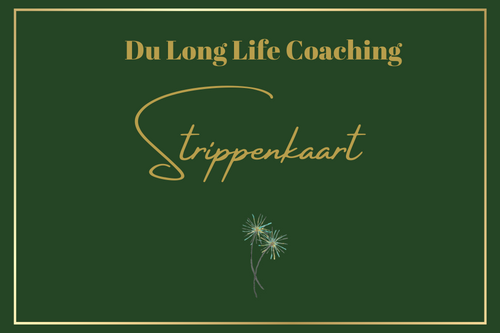 sessies, coachgesprekken, coaching