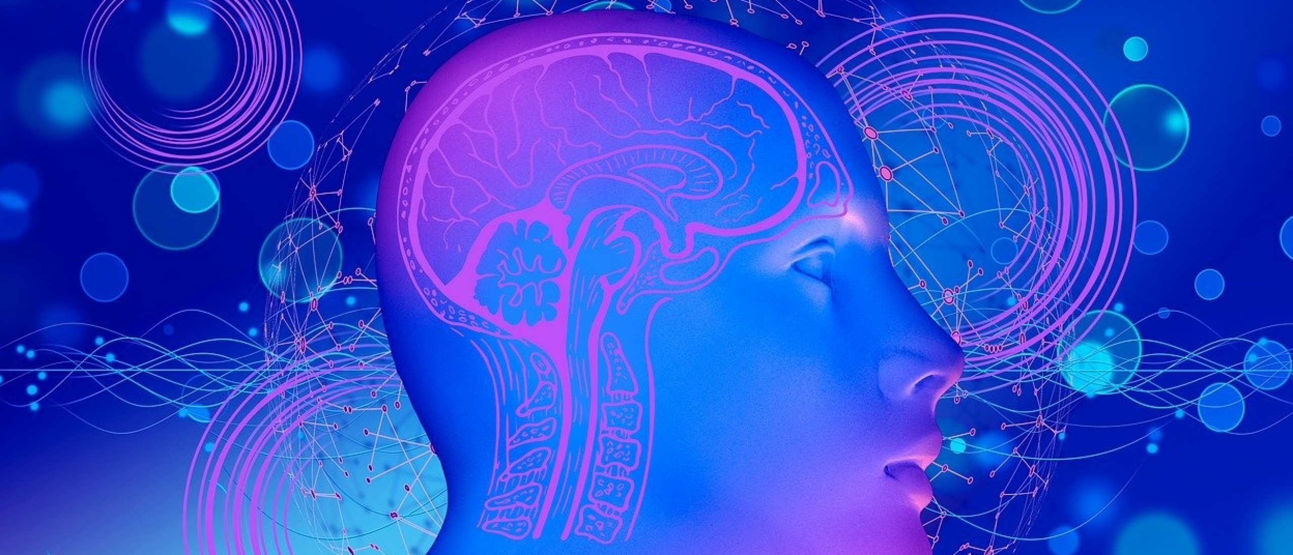 Can you be too intelligent for speaking Dutch?