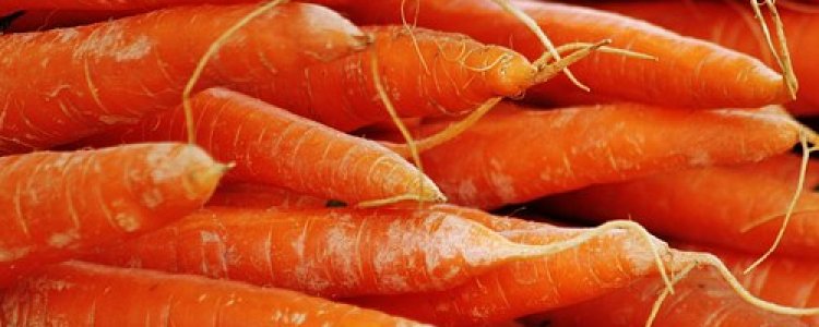 How carrots can help you to speak much better Dutch