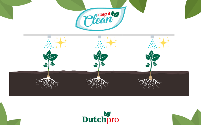 dutchpro nutrients