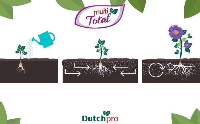 Multi Total Dutchpro Nutrients