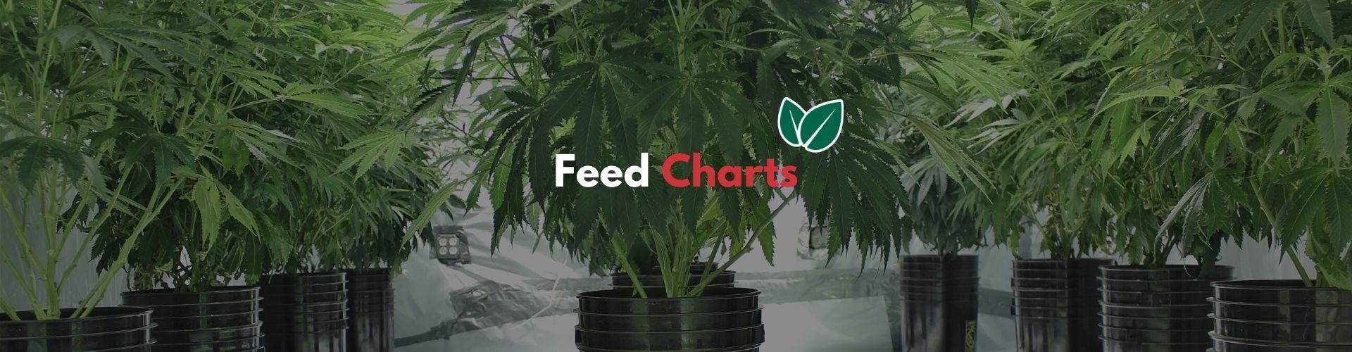 Dutchpro Nutrients Feed Charts Easy and Simple to Use
