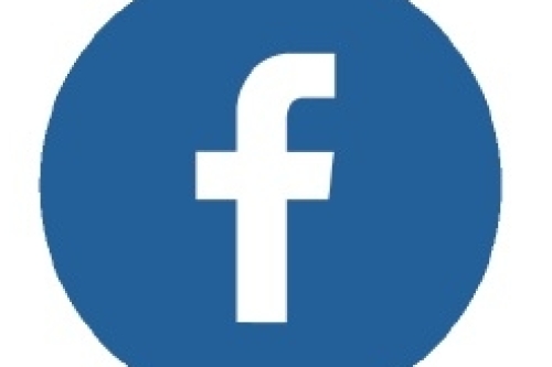 FB icon