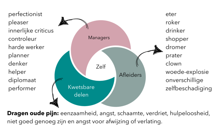 Driedeling van IFS-therapie: managers, afleiders en gekwetste delen rondom het Zelf