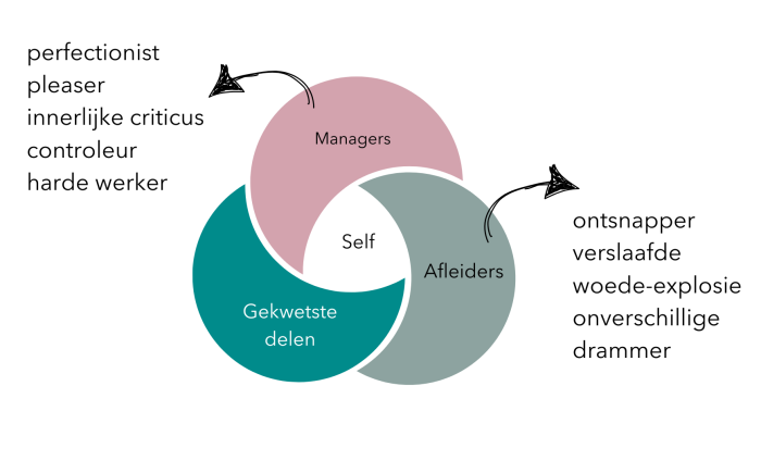 IFS delen model Driedeling van IFS-therapie: managers, afleiders en gekwetste delen rondom het Zelf