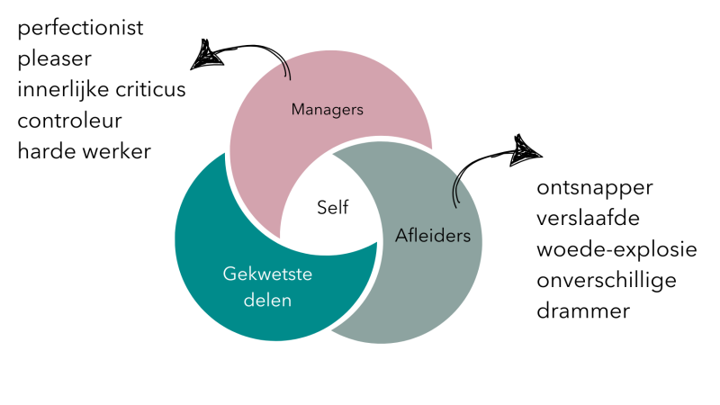 Driedeling van IFS-therapie: managers, afleiders en gekwetste delen rondom het Zelf