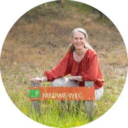 Loet coach Noord Holland - Eb en vLoet Loet bij Nieuwe weg Schoorl Noord Holland