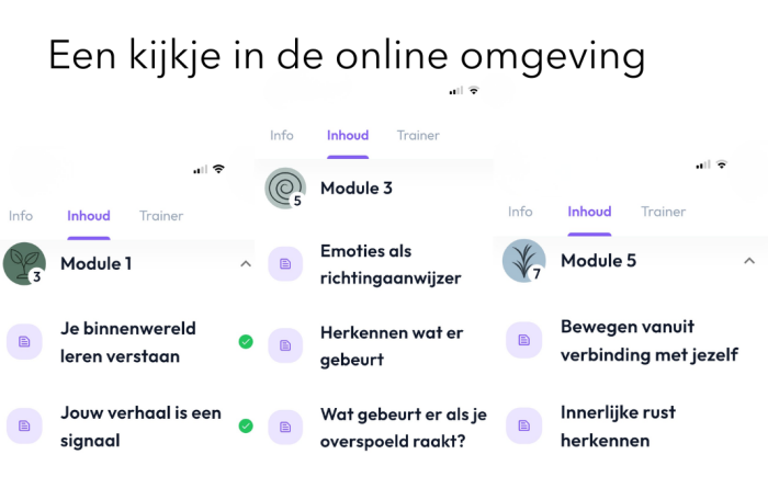online-ifs-coaching-leeromgeving 3 modules online-ifs-coaching-leeromgeving