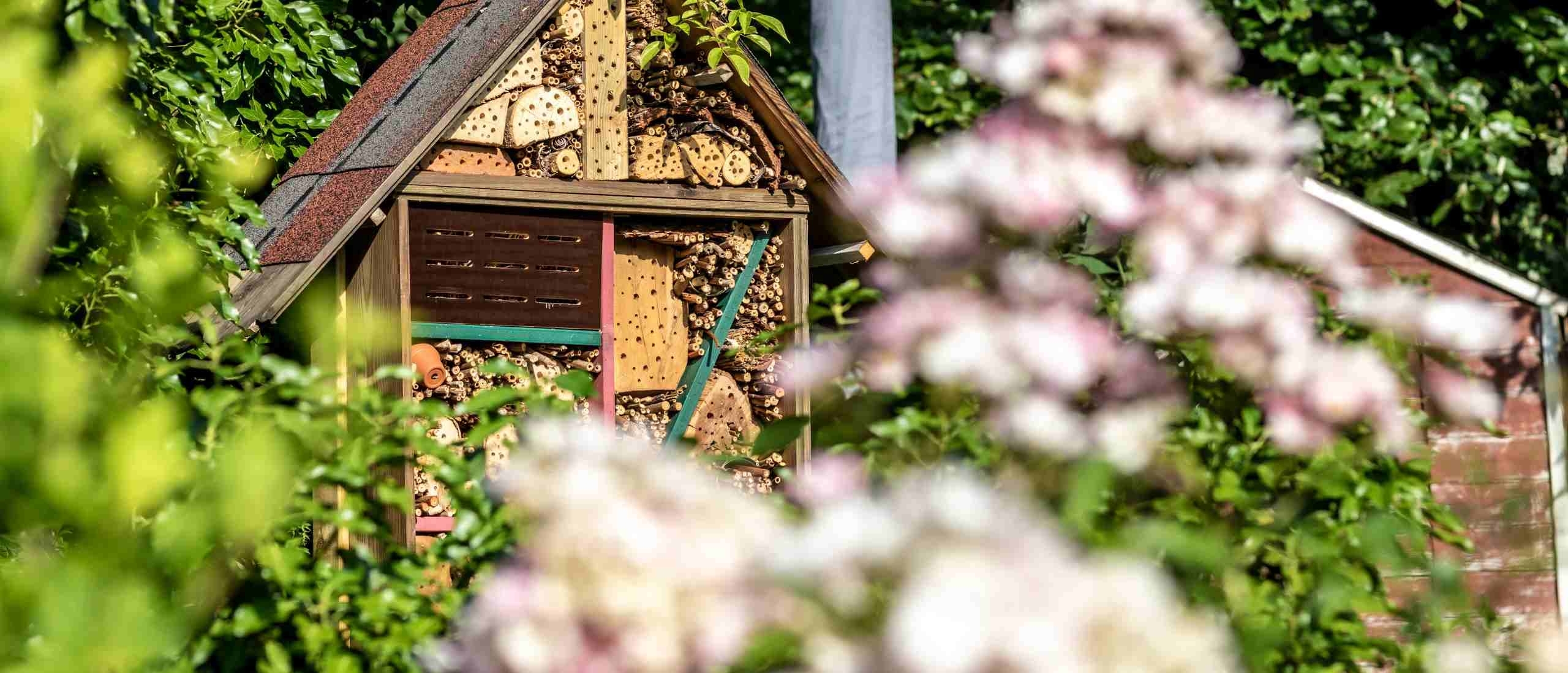 Bijenhotel: hoe maak je er één en waarom zijn ze belangrijk voor de biodiversiteit?