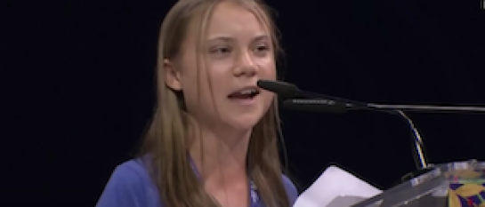 Greta Thunberg bla,bla,bla