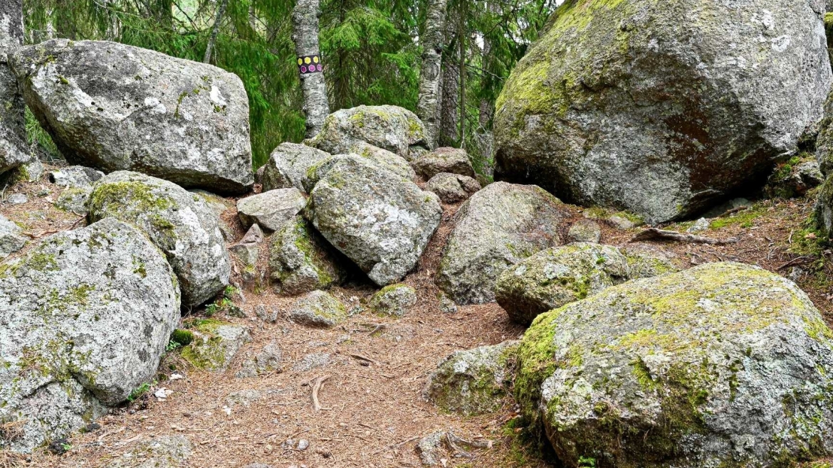grote-rotskeien-in-zweden