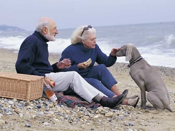 picknicken op het strand