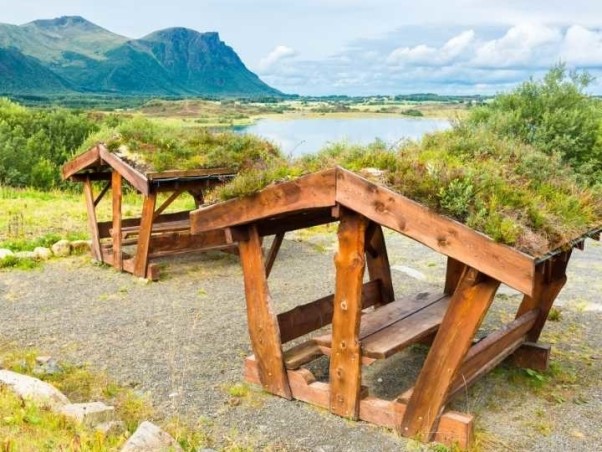 Picknicken op het strand of in het bos | Super gezellig | Doe het ook!