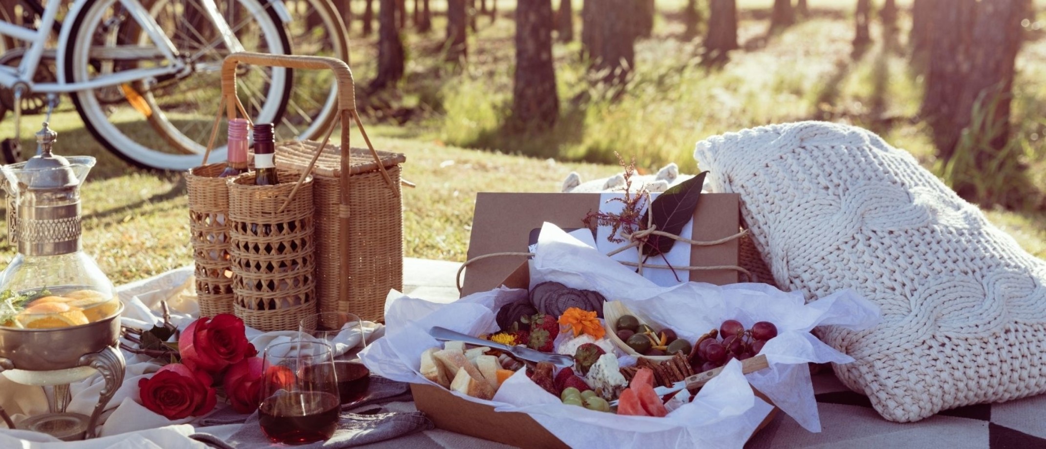 Mag Je Picknicken In Het Bos