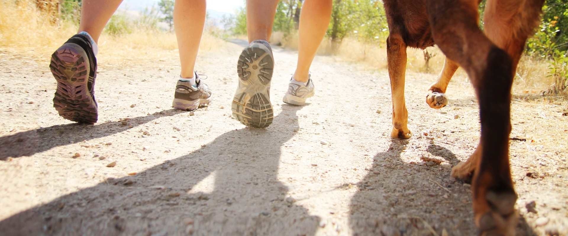 Wandelen in Zweden!