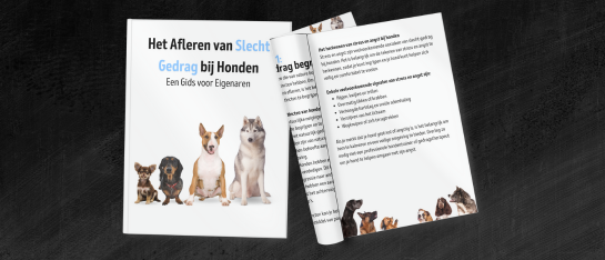 product ebook