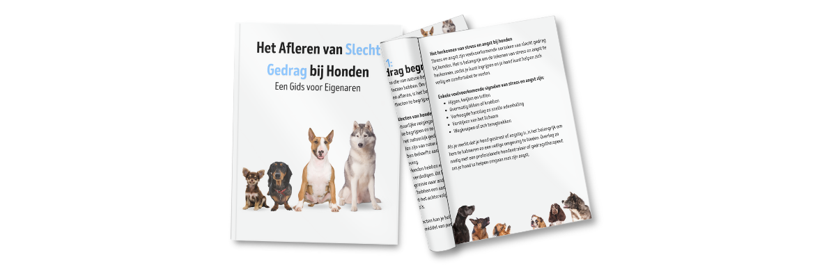 ebook template