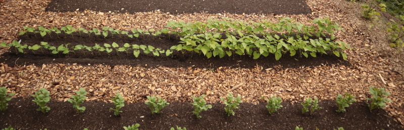 schoon werken in tuin