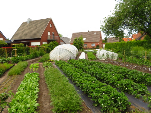 Eco Moestuin Binne Visser