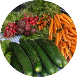Meer groenten oogsten met moestuincursus