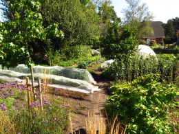 Eco Moestuin over ons