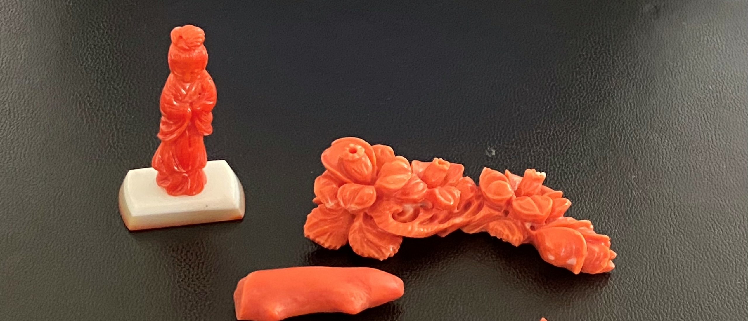 Een kijkje in de  (zee)keuken van edel koraal
