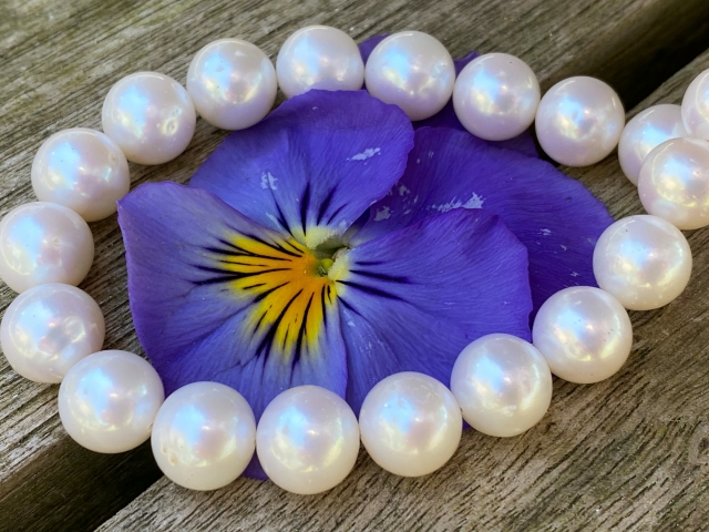 cultured pearls