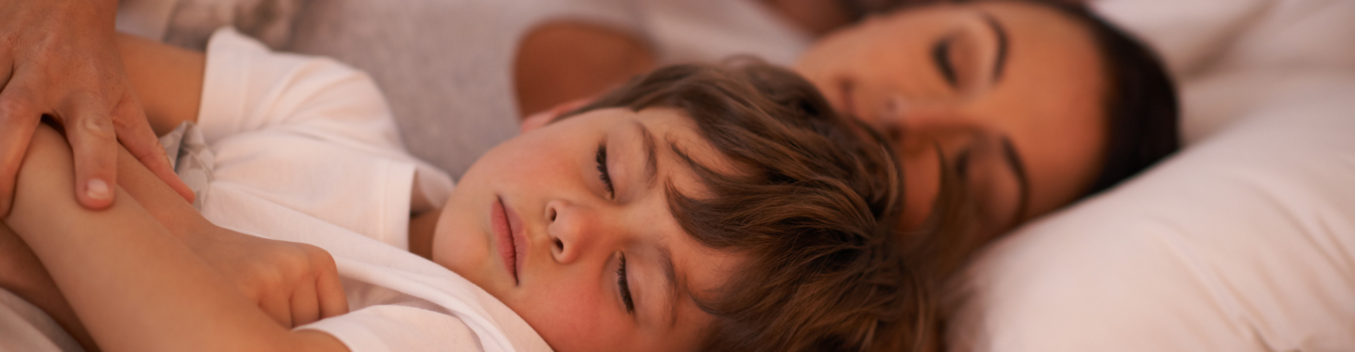 Slaap werkmodel | De EGT Academy NEI Slaap werkmodel | De EGT Academy