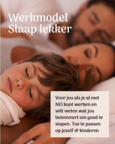 Slaap werkmodel - De EGT Academy - NEI Therapeuten NEI Slaap lekker werkmodel | De EGT Academy