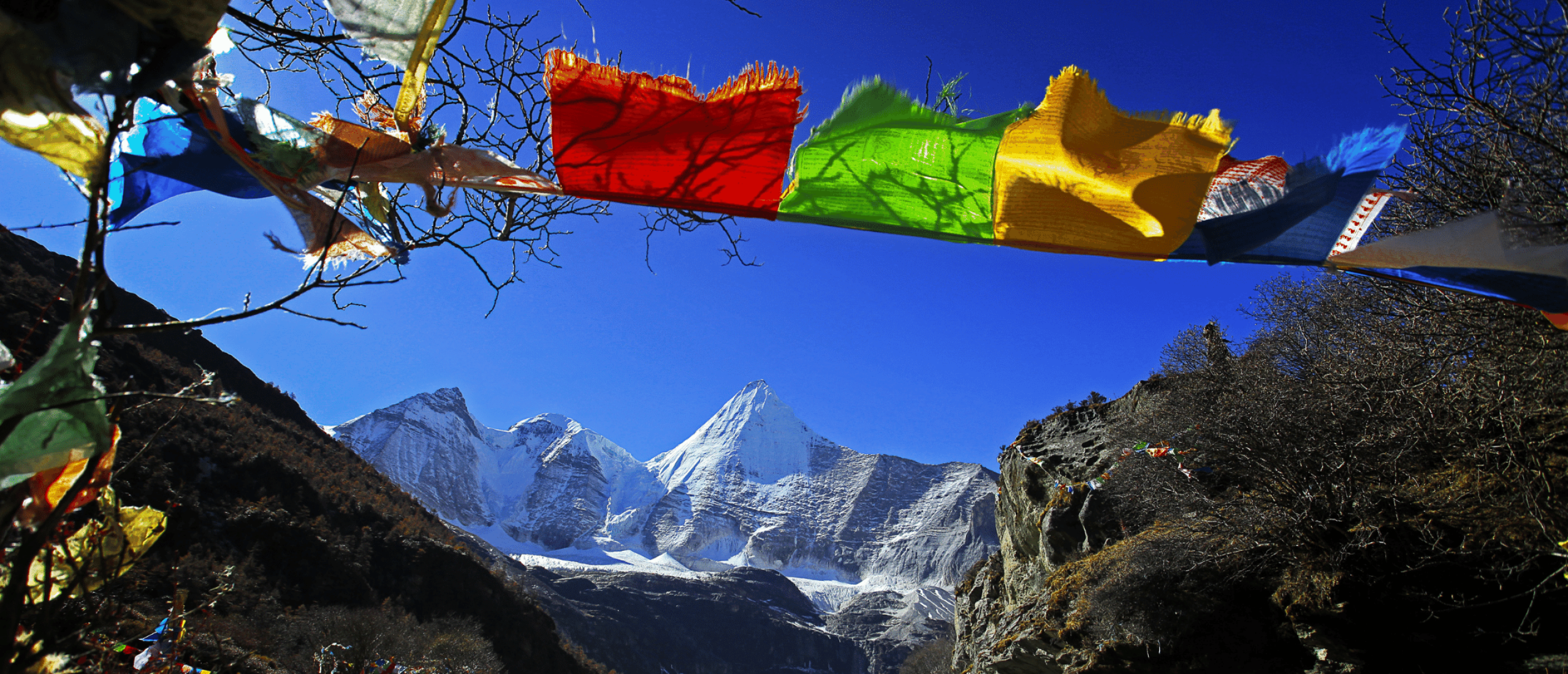 De Vijf Tibetanen, voor je dagelijkse yoga-oefeningen