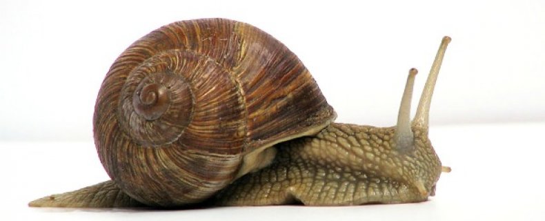 Vakantiegevoel in eigen huis