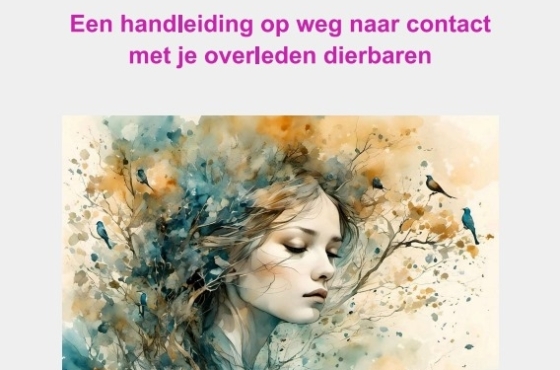 Contact met overleden dierbaren | Trance Medium Ellen Wouda | Feel Great Academy