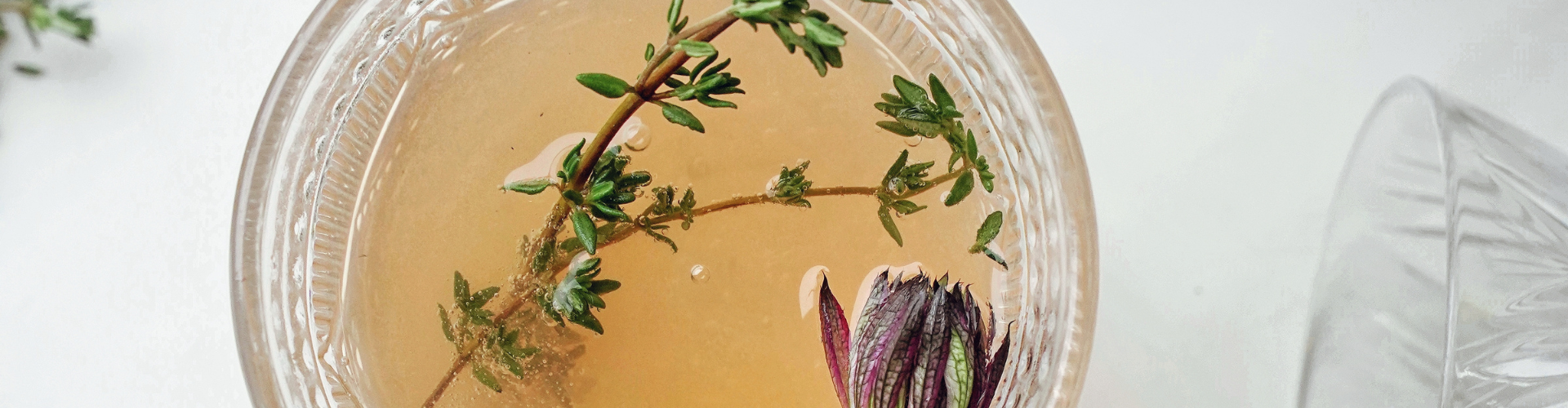 Nuchter leven Els van der Kleij