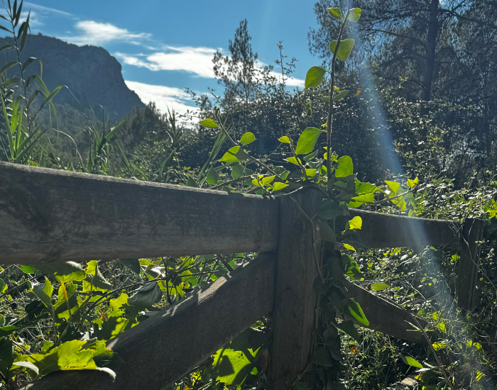 alcohol vrij nuchter