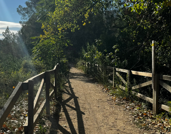 Els van der kleij mevrouwtje nuchter