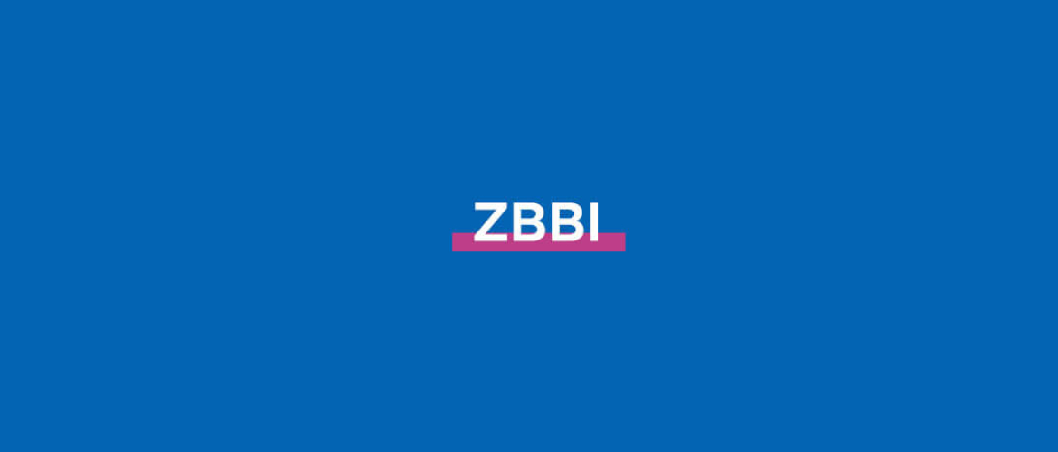 Wat is ZBBI?