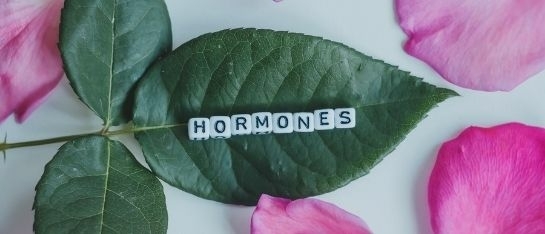 oestrogeen dominantie_hormonale carcinomen_pms_oestrogeen dominantie_myoom_endometriose