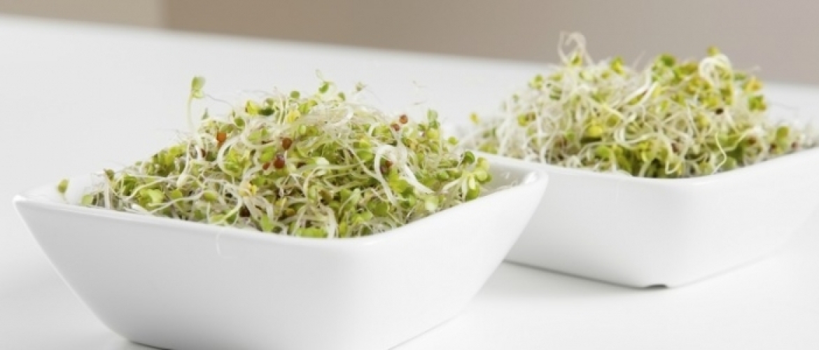 Broccolikiemen; wondertjes van gezondheid voor je hormoonbalans