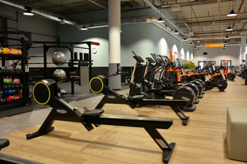Personal Training Basic-Fit Ladies Almere