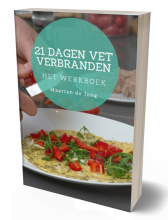 21-dagen-vetverbranden-werkboek