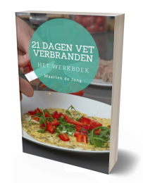 21-dagen-vetverbranden-werkboek