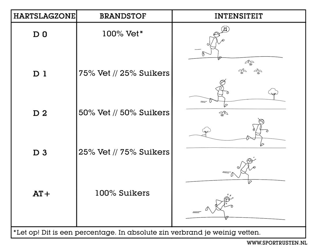hartslagzone-vet-suiker