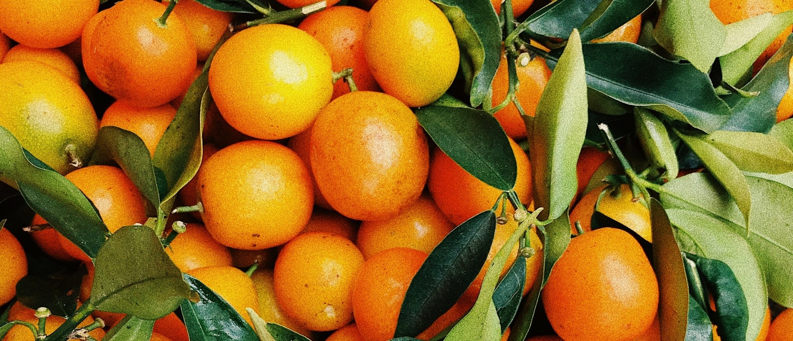 Neroli