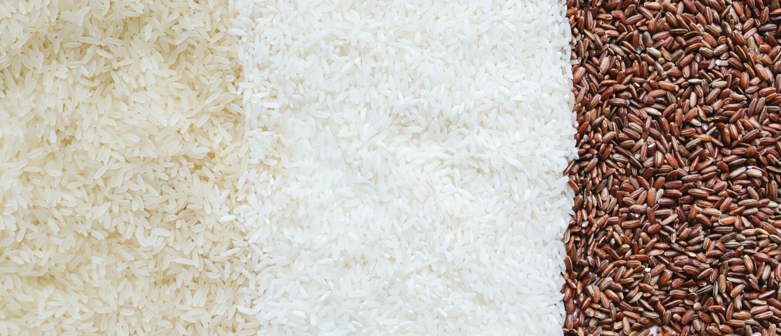 Rijst Rijst