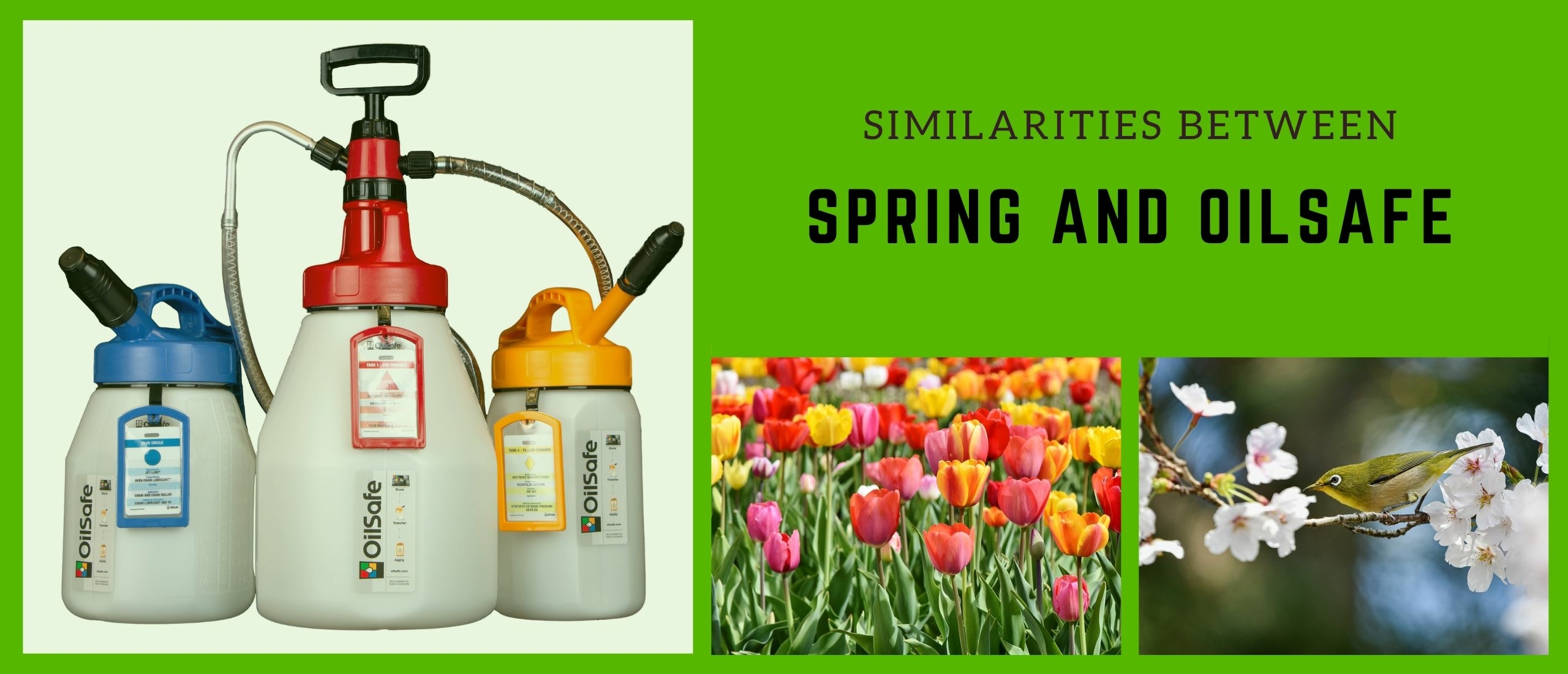 Similarities between Spring and OilSafe