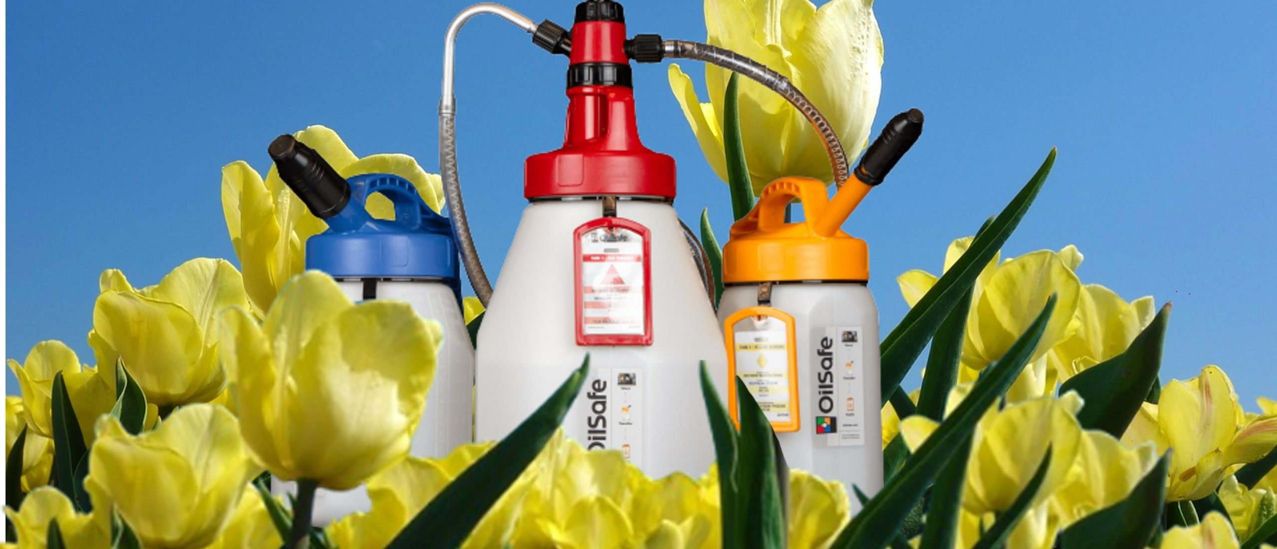 Similarities between Spring and OilSafe