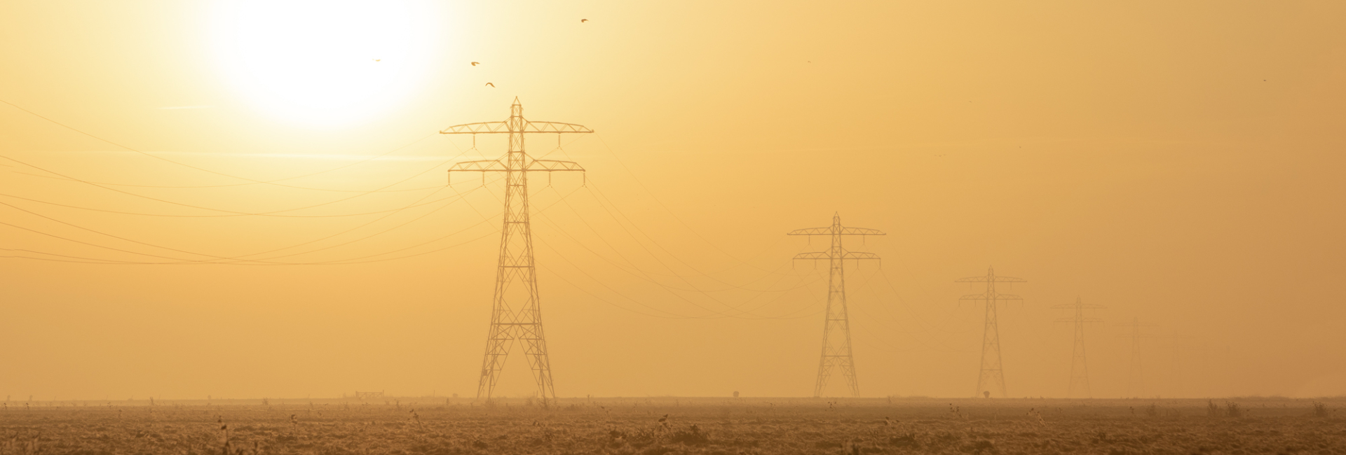 Enpron Daarom houden onze energieprofessionals u op de hoogte van de wet- en regelgeving op het gebied van energie en helpen we u hieraan te voldoen zodat u geen risico’s loopt.