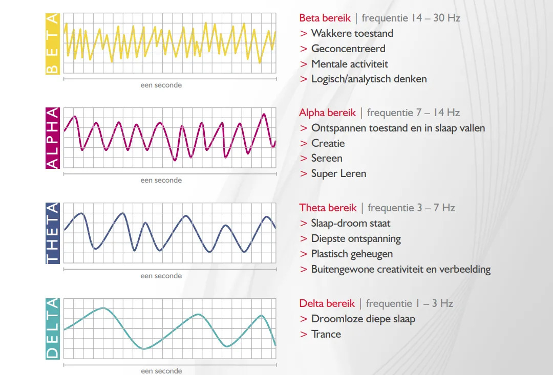 Braintronics Casada uitgelegd